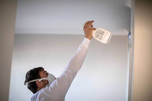 Best Office Mold Removal Services  in Pajaro, CA