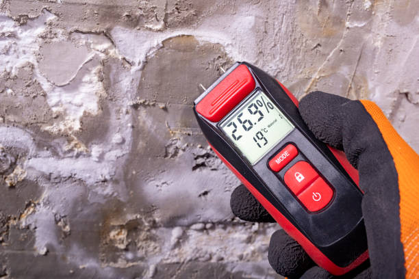 Mold Removal and Inspection in Pajaro, CA