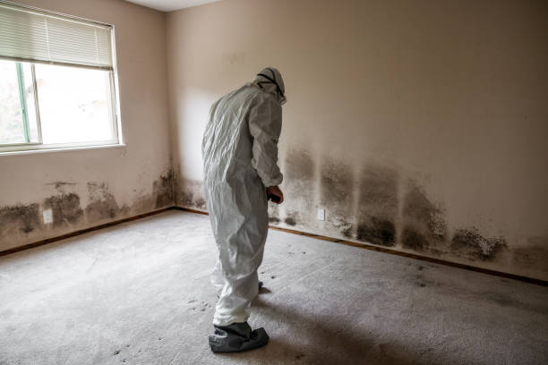 Best Crawl Space Mold Removal  in Pajaro, CA